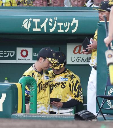 　４回を終え、豊田の交代を告げた藤川監督（左）はベンチ奥へ向かう（撮影・北村雅宏）