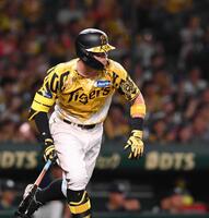 　４回、右前打を放つ佐藤輝