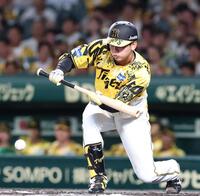 　３回、犠打を決める門別（撮影・北村雅宏）