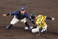 　４回、三本間での挟殺プレーの間に二塁を狙うもタッチアウトになる豊田（撮影・立川洋一郎）