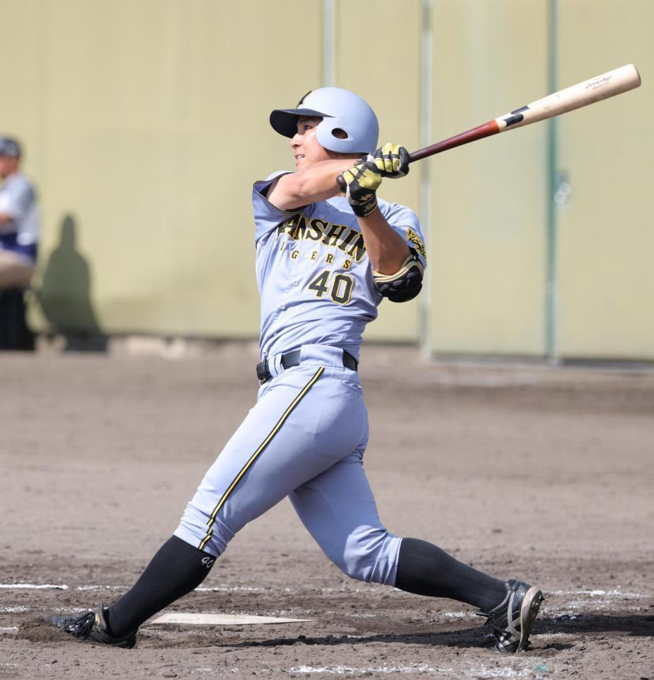 　８回、井坪は左越えに本塁打を放つ（撮影・坂部計介）