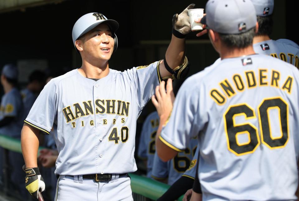 　８回、左越えに本塁打を放った井坪はベンチでナインの出迎えを受ける（撮影・坂部計介）