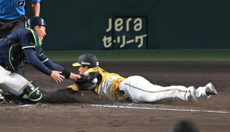 　５回、伊藤将のスクイズで本塁をつくもアウトになる小幡（撮影・飯室逸平）