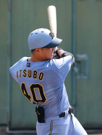 　５回、中前適時打を放つ井坪（撮影・石湯恒介）