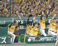 　８回、坂本の三塁打に沸くデュプランティエ（左端）ら阪神ナイン（１２日）