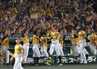 　６回、佐藤輝の先制２ランに沸く阪神ナイン（撮影・飯室逸平）