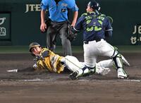 　５回、伊藤将のスクイズで本塁をつくもアウトになる小幡（撮影・飯室逸平）