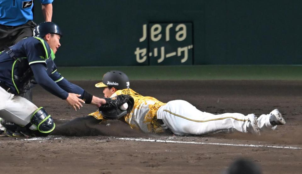 　５回、伊藤将のスクイズで本塁をつくもアウトになる小幡（撮影・飯室逸平）