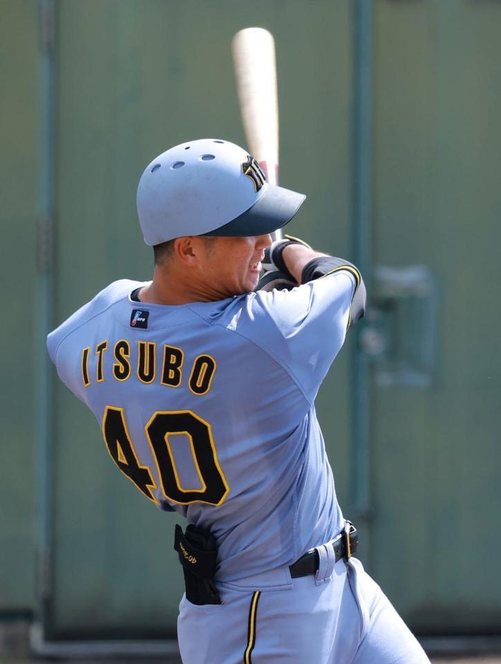 　５回、中前適時打を放つ井坪（撮影・石湯恒介）