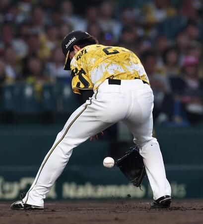 　４回、佐藤のバント処理で失策する高橋（撮影・北村雅宏）