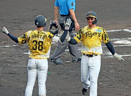 　１回、大山の適時二塁打で先制のホームを踏み、小幡（左）とタッチを交わす森下（撮影・立川洋一郎）