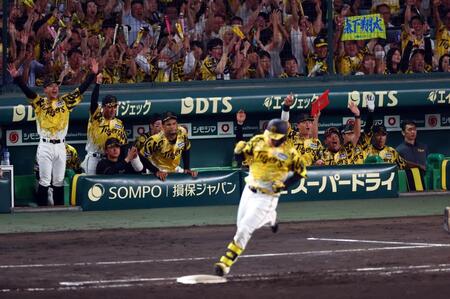 　７回、森下の同点ソロに盛り上がる阪神ナイン（撮影・山口登）