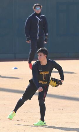 　藤浪（奥）が見つめる中、キャッチボールする森下＝２０２３年