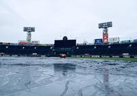 阪神－中日は雨天中止 連敗中の阪神は大竹、7連勝狙う中日は