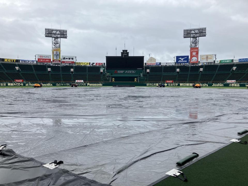 　シートが敷き詰められた甲子園（撮影・田中太一）