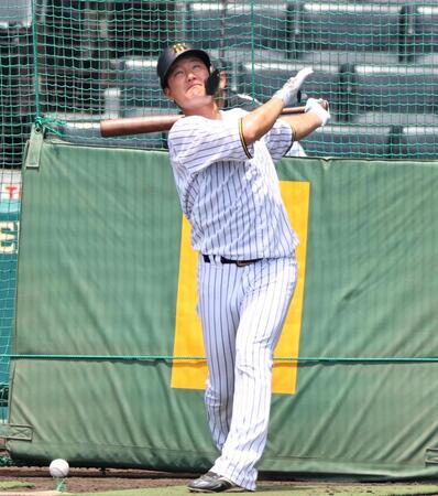 　打撃練習する渡辺（撮影・山口登）