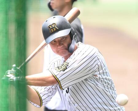 　１軍に合流し、打撃練習する渡辺（撮影・西田忠信）