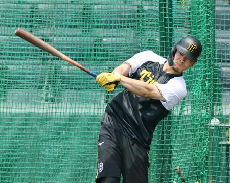 　打撃練習をする佐藤輝（撮影・山口登）