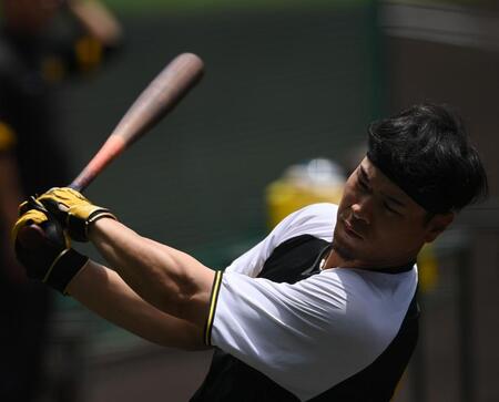 　打撃練習する佐藤輝（撮影・西田忠信）