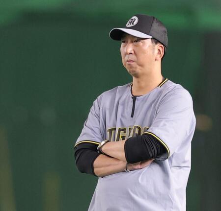 　打撃練習を見る藤川監督（撮影・西岡正）