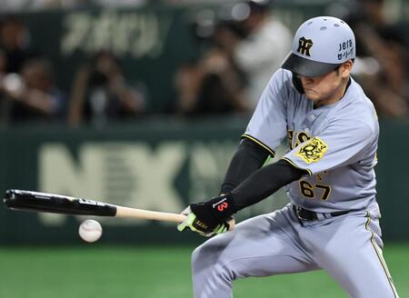 　７回、山崎が投じたボールがバットに２度当たりファウルとなる高寺（撮影・田中太一）