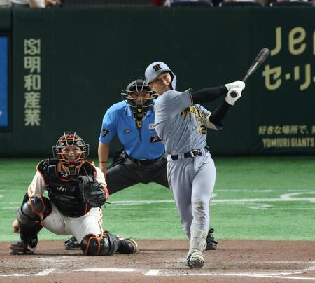 　１１回、左越え２ランを放つ坂本（撮影・金田祐二）