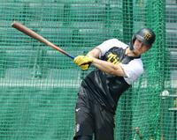 　打撃練習をする佐藤輝（撮影・山口登）