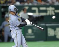 　１１回、左越えに２ランを放つ坂本（撮影・西岡正）
