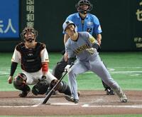 　１１回、左越え２ランを放つ坂本（撮影・金田祐二）