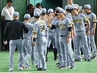 　ナインを迎える藤川監督（撮影・金田祐二）