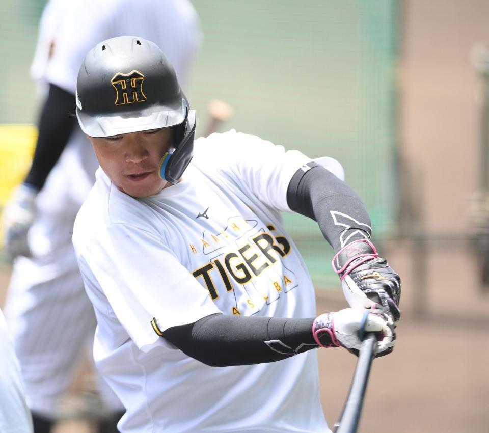 　打撃練習に取り組む大山（撮影・西田忠信）