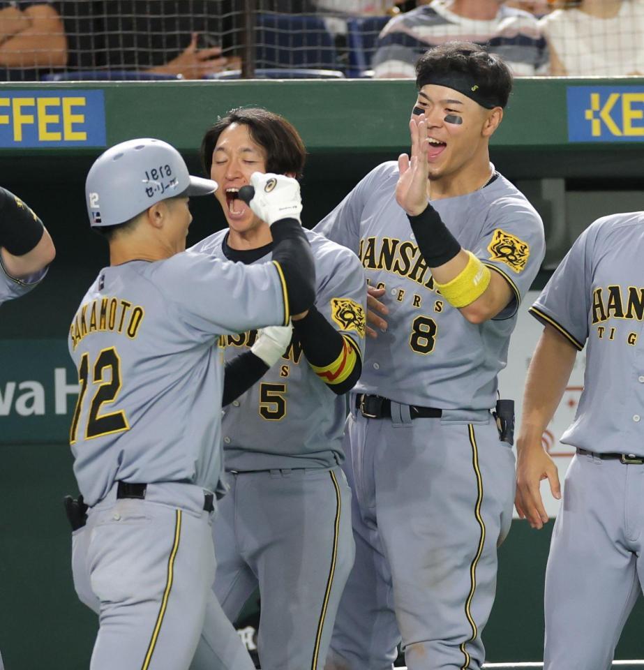 元阪神タイガース外国人選手　グレン・デービス使用木製バット 元阪神タイガース外国人選手 グレン・デービス使用木製バット