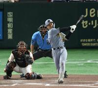 　１１回、左越え２ランを放つ坂本（撮影・金田祐二）