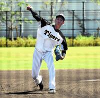 　キャッチボールする今朝丸