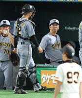 　１回、ベンチに戻った坂本に声をかける藤川監督（撮影・金田祐二）