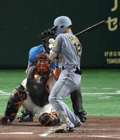 　４回、死球を受ける坂本（撮影・金田祐二）