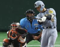 　６回、坂本のファウルチップが当たる岸田（撮影・金田祐二）