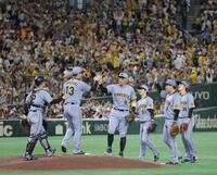 　巨人に連勝し、タッチを交わす阪神ナイン（撮影・西岡正）