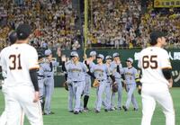 　巨人に連勝し、タッチを交わす阪神ナイン（撮影・西岡正）