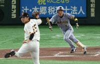 　８回、中前打を放つ近本（撮影・金田祐二）