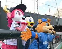 　ポーズを決める（左から）オリックスのバファローベル、ロッテのズーちゃん、日本ハムのＣ・Ｂ（撮影・西田忠信）