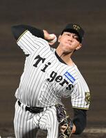 オンサイトカード 工藤泰成選手 阪神タイガース 工藤泰成 N 2025 阪神タイガース オンサイトカード - メルカリ