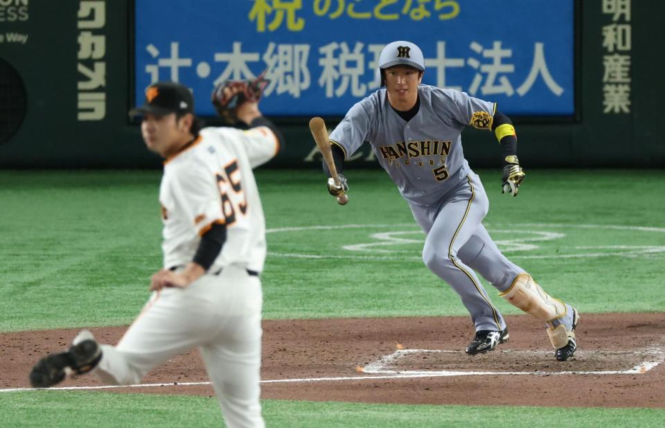 　８回、中前打を放つ近本（撮影・金田祐二）