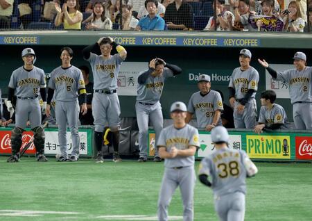 　３回、小幡（３８）の２打席連続となる２ランに阪神ベンチもびっくり！（撮影・金田祐二）
