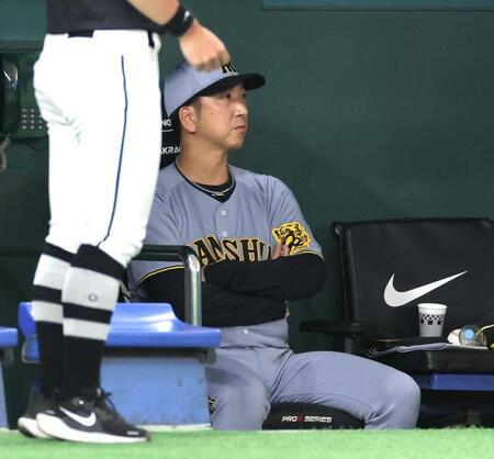 　巨人にサヨナラ負けし、ぼう然とグラウンドを見つめる藤川監督（撮影・西岡正）
