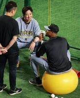 　デュプランティエと話し込む藤川監督（撮影・金田祐二）