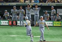 　３回、小幡（３８）の２打席連続となる２ランに阪神ベンチもびっくり！（撮影・金田祐二）