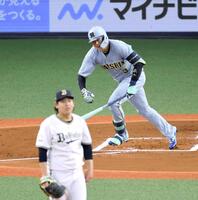 　２回、中前打を放つ大山。投手宮城（撮影・山口登）