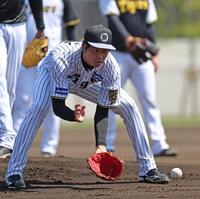 　守備練習に励む才木（撮影・北村雅宏）