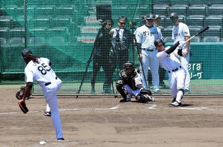 　豊田を空振り三振に打ち取るドリス